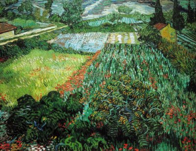 Mohnfeld von Vincent van Gogh
